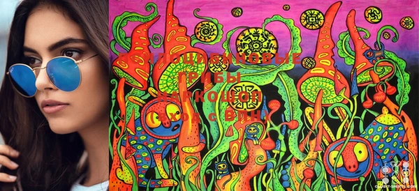 марки lsd Абаза