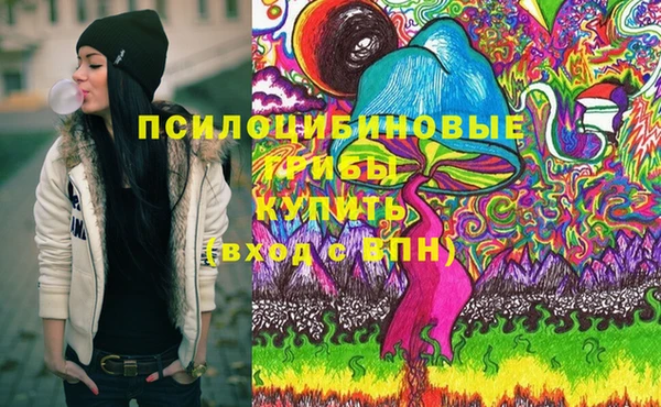 марки lsd Абаза