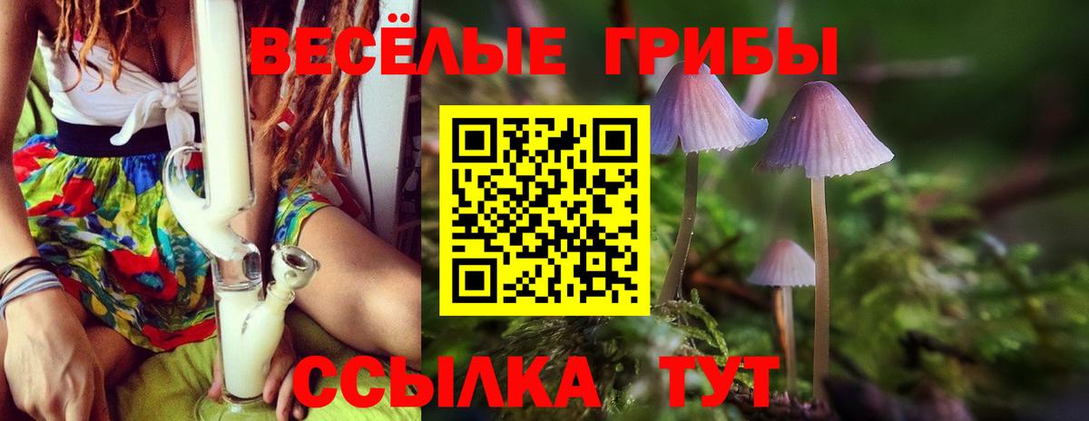 Псилоцибиновые грибы прущие грибы  Вход с VPN  наркотики  Псилоцибиновые грибы Cubensis  Кострома 