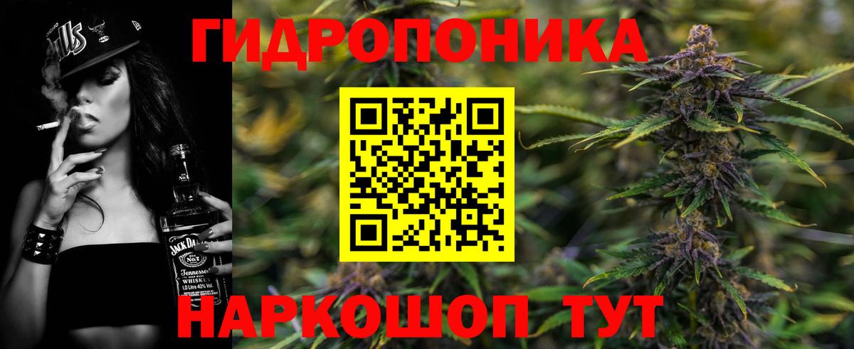 Кострома  Каннабис индика  Бошки Шишки THC 21%  Вход с VPN  Бошки марихуана VHQ 